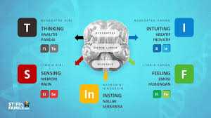 Tes STIFIn Tangerang